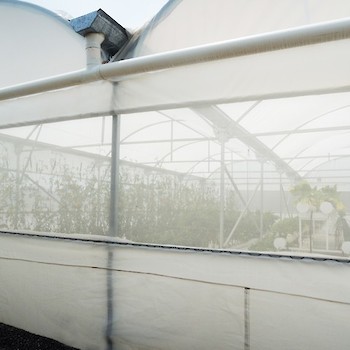 Greenhouse from Outside, Rain Water Distribution